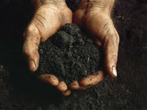 Lawn Care Pest Control Soil Img